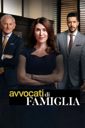 Avvocati di famiglia Serie TV