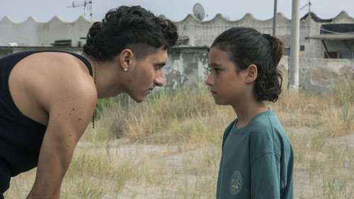 Denti da squalo Film