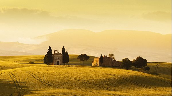 Di Là Dal Fiume Tra Gli Alberi Ombre E N Programma