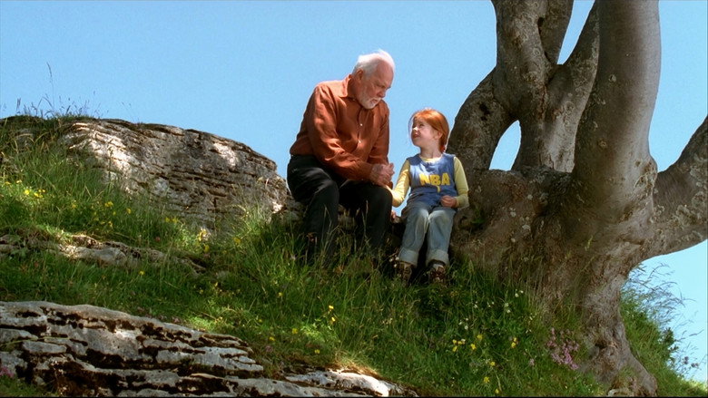 La farfalla Film