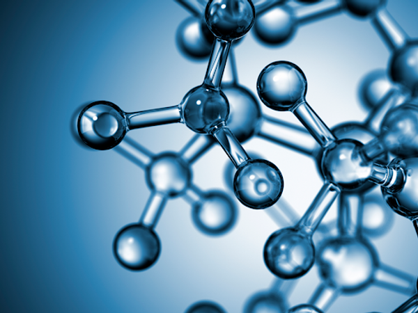 Progetto Scienza 2023 Racconti Di Scienz Programma