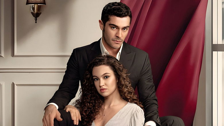 Racconto di una notte Serie TV