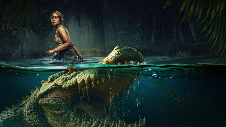 The Bayou Film