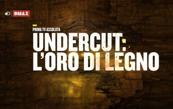 Undercut: l'oro di legno Programma